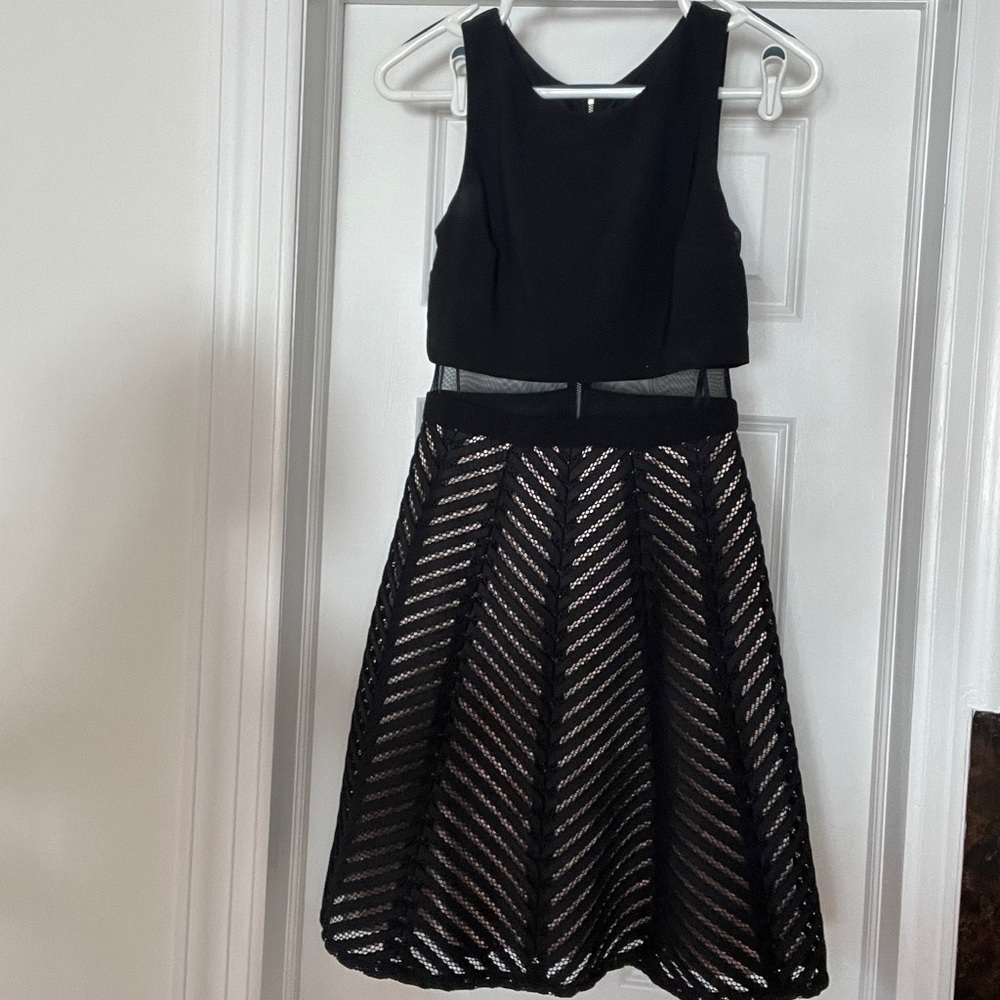 Betsy & Adam Silver and Black Sleeveless Fit and Flare Dress